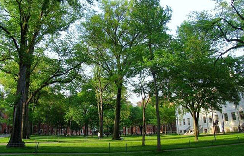 夾江縣云吟職業(yè)中學校