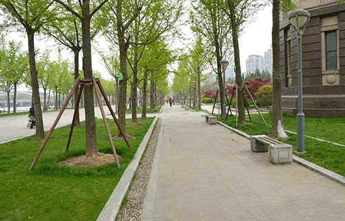 成都藝術(shù)職業(yè)大學(xué)