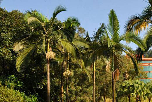 廣州番禺職業(yè)技術(shù)學院