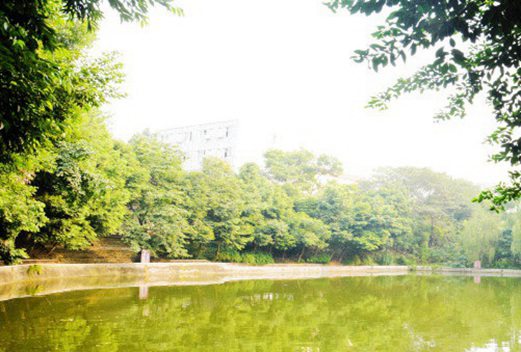 成都華大醫(yī)藥衛(wèi)生學校