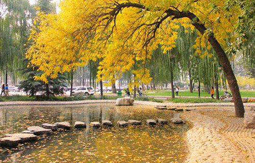 四川音樂學(xué)院附屬中等藝術(shù)學(xué)校