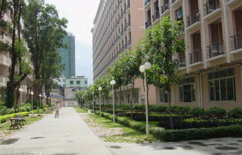 宜賓市特殊教育學校