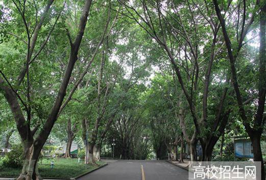 重慶知行衛(wèi)生學(xué)校