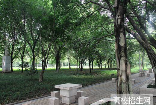 重慶知行衛(wèi)生學(xué)校