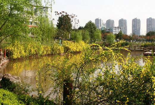 重慶文理學(xué)院