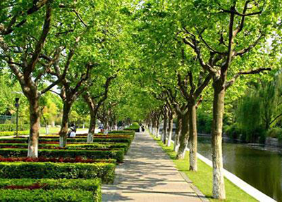 成都交通高級技工學(xué)校