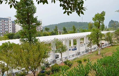 廣西賀州職業(yè)學(xué)院