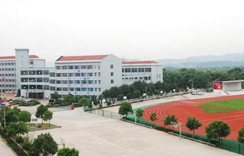 龍州縣職業(yè)技術(shù)學(xué)校