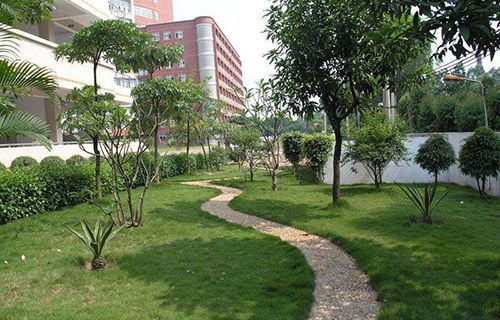 來(lái)賓衛(wèi)生學(xué)校