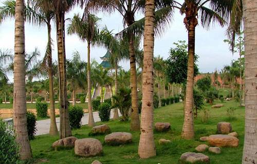 廣東司法警官職業(yè)學(xué)院中職部