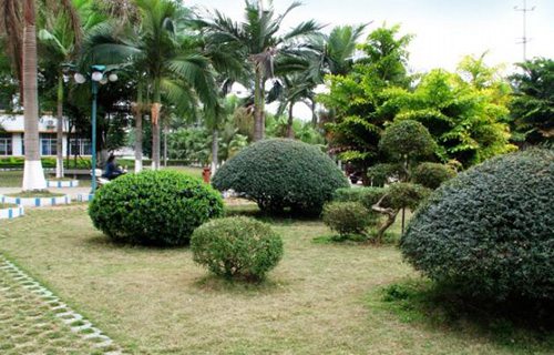 橫縣職業(yè)教育中心