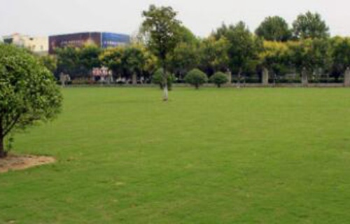 馬山縣民族職業(yè)技術(shù)學(xué)校