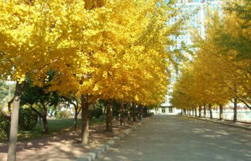 廣西梧州財(cái)經(jīng)學(xué)校