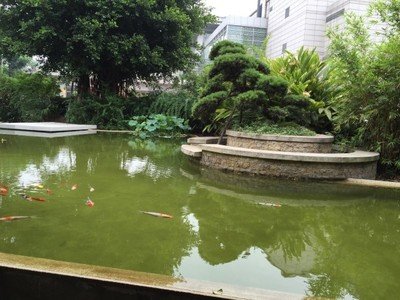 自貢市永安職業(yè)中學(xué)校