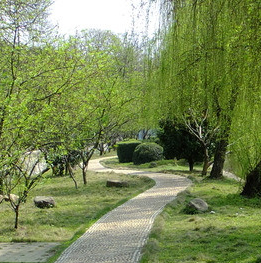 自貢飛魚職業(yè)學校