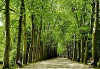 岳池白廟職業(yè)中學(xué)校