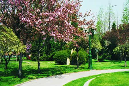 梧州市長洲職業(yè)學(xué)校