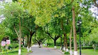 西昌第一職業(yè)技術(shù)中學(xué)