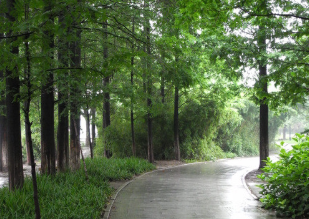 四川省商業(yè)服務(wù)技工學(xué)校