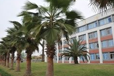 四川省峨眉山市職業(yè)技術(shù)學(xué)校