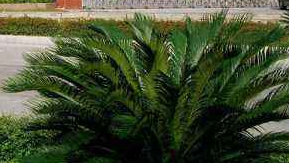 四川省蠶絲學(xué)校