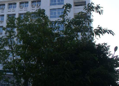 四川省達(dá)州市高級(jí)技工學(xué)校