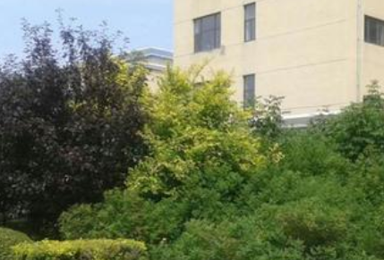 四川省達(dá)州市高級(jí)技工學(xué)校