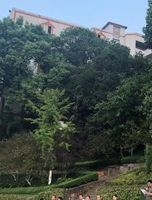 雙流縣華陽(yáng)職業(yè)高級(jí)中學(xué)