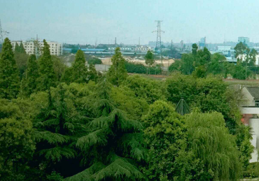 眉山信息工程中等職業(yè)技術(shù)學(xué)校