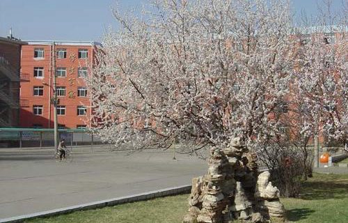 梧州輕工技工學(xué)校