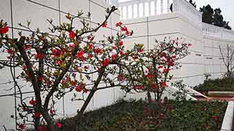 綿陽(yáng)靈通電氣技工學(xué)校