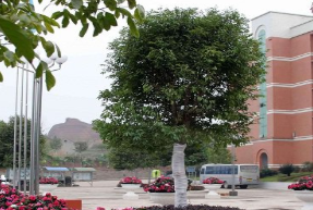 四川省信息通信學(xué)校