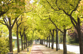 南充電子技術(shù)學校