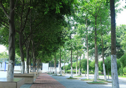 遂寧職業(yè)技術(shù)學(xué)校