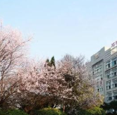 四川礦產(chǎn)機(jī)電技師學(xué)院