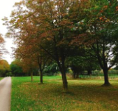 簡(jiǎn)陽(yáng)平泉高級(jí)職業(yè)中學(xué)