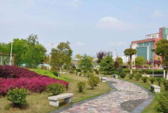 廣元鳳凰職業(yè)技術(shù)學(xué)校