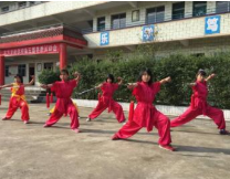 廣安康泉文化武術(shù)學校