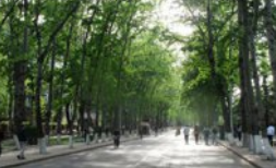 大竹縣中峰職業(yè)技術(shù)學(xué)校