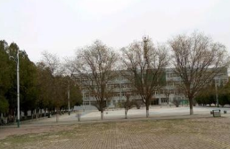 大竹縣中峰職業(yè)技術(shù)學(xué)校