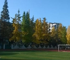 崇州市技工學(xué)校