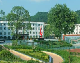 巴中信息技術學校