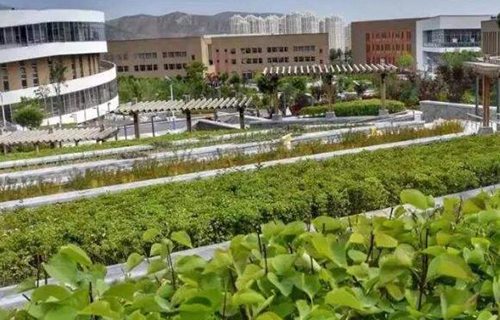 浦北第一職業(yè)技術(shù)學(xué)校