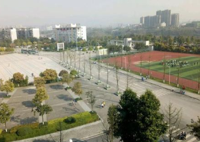 岳池縣職業(yè)技術學校