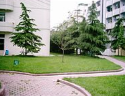 崇州市電子職業(yè)技術(shù)學(xué)校