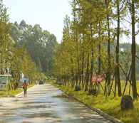 樂(lè)山市金盾職業(yè)學(xué)校