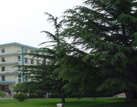 蓬溪縣建筑工程職業(yè)技術(shù)學(xué)校