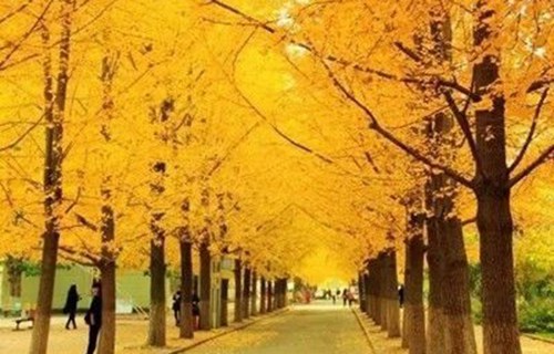 廣西右江民族商業(yè)學(xué)校