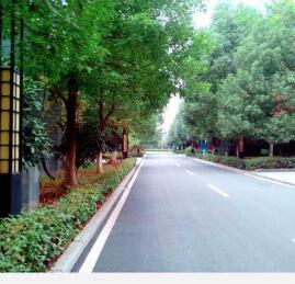 重慶南川隆化職業(yè)中學(xué)校