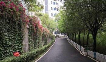 重慶涪陵創(chuàng)新計(jì)算機(jī)學(xué)校